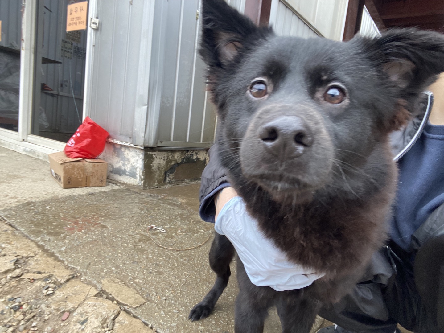 한국야생동물보호협회_441383202400136